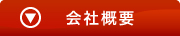 ЊTv